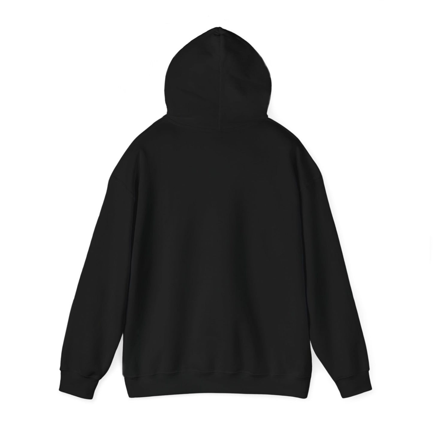 Hooded Sweatshirt - Disc Golf Basket Eyeball