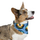 Pet Bandana Collar - Disc Golf Painting Pattern Light Blue