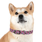 Dog Collar - Disc Golf Basket Dog Painting Pattern Pink