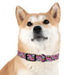 Dog Collar - Disc Golf Basket Dog Painting Pattern Pink