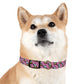 Dog Collar - Disc Golf Basket Dog Painting Pattern Pink