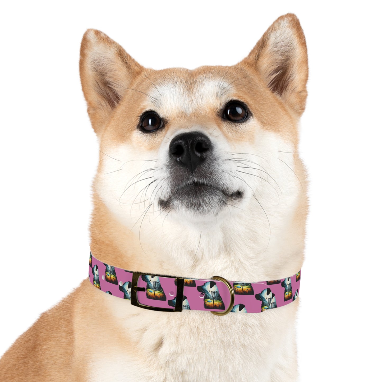 Dog Collar - Disc Golf Basket Dog Painting Pattern Pink