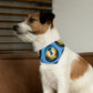 Pet Bandana Collar - Disc Golf Painting Pattern Light Blue